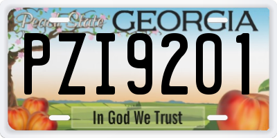 GA license plate PZI9201