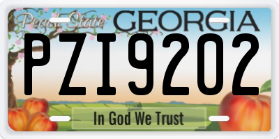 GA license plate PZI9202