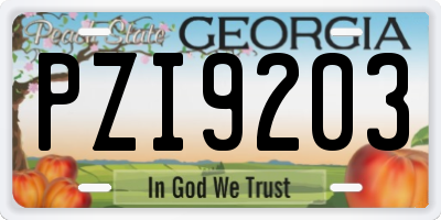 GA license plate PZI9203
