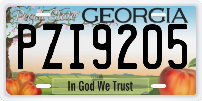 GA license plate PZI9205