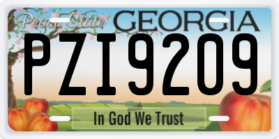 GA license plate PZI9209