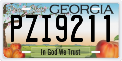 GA license plate PZI9211