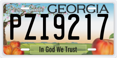 GA license plate PZI9217