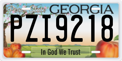 GA license plate PZI9218