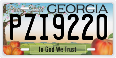 GA license plate PZI9220