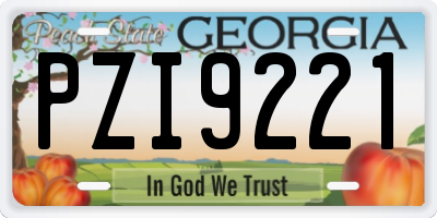 GA license plate PZI9221