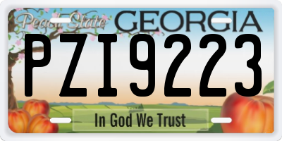 GA license plate PZI9223