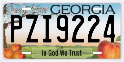 GA license plate PZI9224