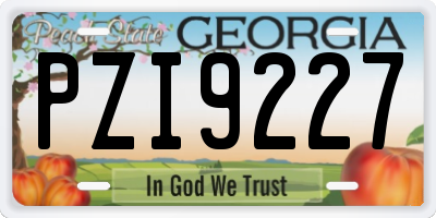GA license plate PZI9227