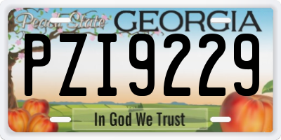 GA license plate PZI9229