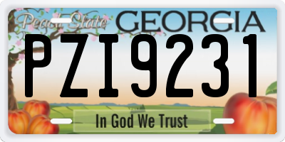 GA license plate PZI9231