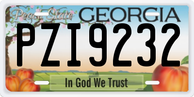 GA license plate PZI9232
