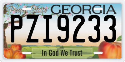 GA license plate PZI9233