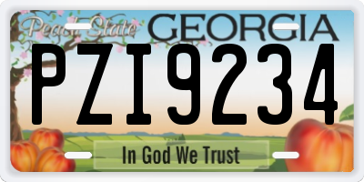 GA license plate PZI9234