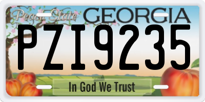 GA license plate PZI9235