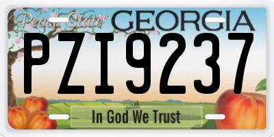 GA license plate PZI9237