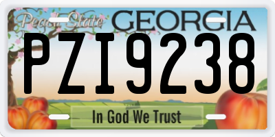 GA license plate PZI9238