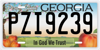 GA license plate PZI9239
