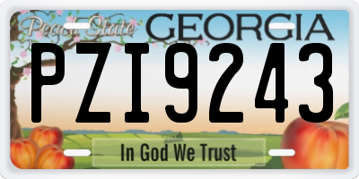GA license plate PZI9243