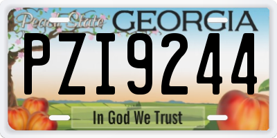 GA license plate PZI9244