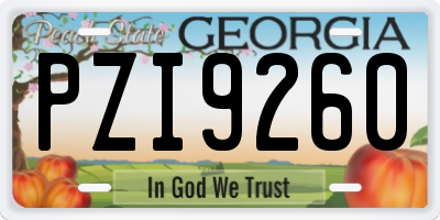 GA license plate PZI9260
