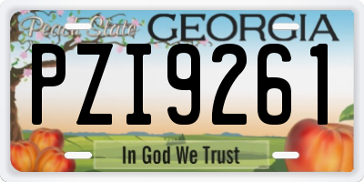 GA license plate PZI9261