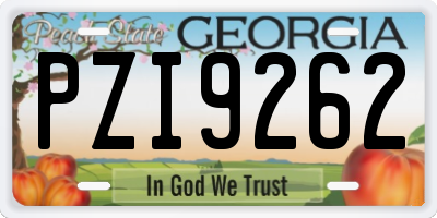GA license plate PZI9262