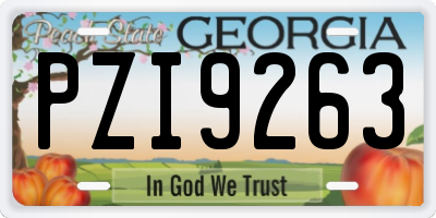 GA license plate PZI9263