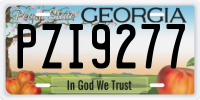 GA license plate PZI9277