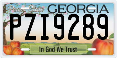 GA license plate PZI9289