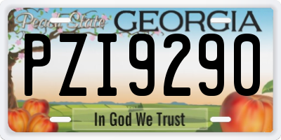 GA license plate PZI9290