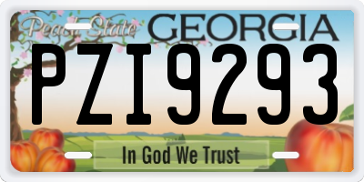 GA license plate PZI9293