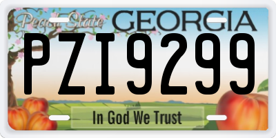 GA license plate PZI9299