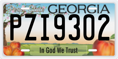 GA license plate PZI9302