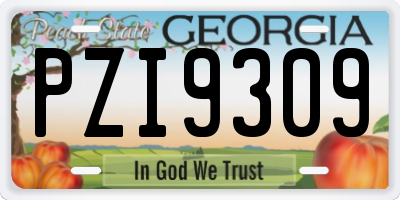 GA license plate PZI9309