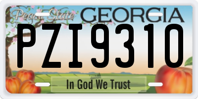 GA license plate PZI9310