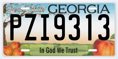 GA license plate PZI9313