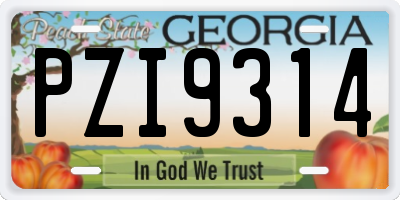 GA license plate PZI9314