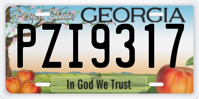 GA license plate PZI9317