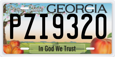 GA license plate PZI9320