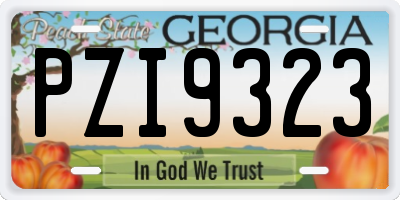 GA license plate PZI9323