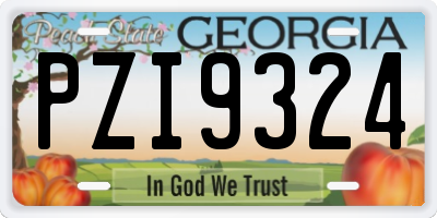 GA license plate PZI9324