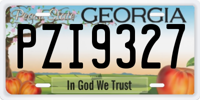 GA license plate PZI9327