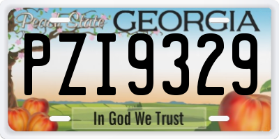 GA license plate PZI9329