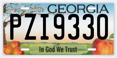 GA license plate PZI9330