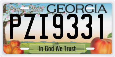 GA license plate PZI9331