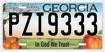 GA license plate PZI9333