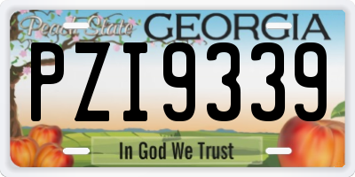 GA license plate PZI9339
