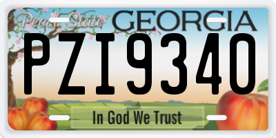 GA license plate PZI9340