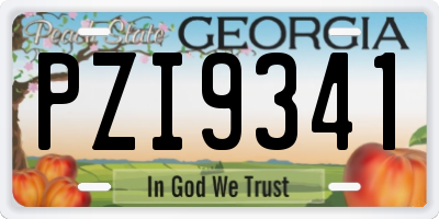 GA license plate PZI9341
